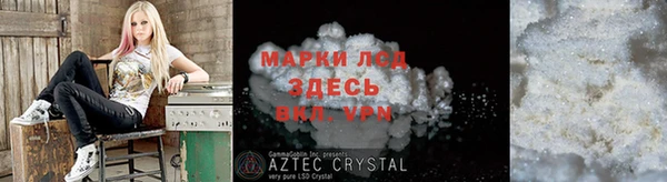 spice Аркадак