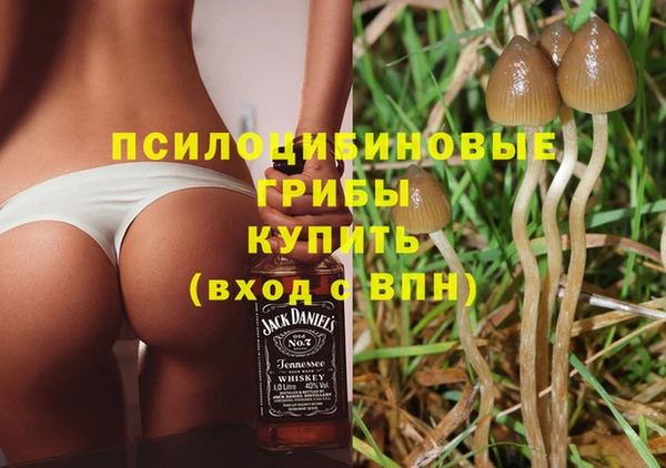 мескалин Арсеньев