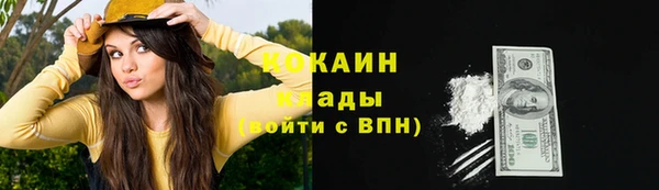 spice Аркадак