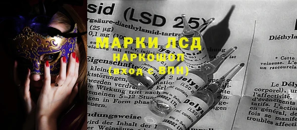 spice Аркадак