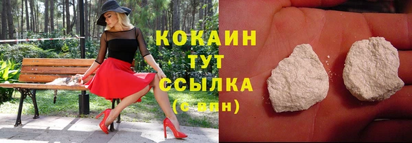 spice Аркадак