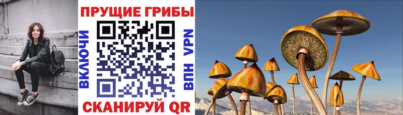 Галлюциногенные грибы Magic Shrooms купить наркотик Углегорск